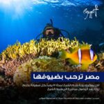 Une semaine surchargée 22 - Le Progrès Egyptien Une semaine surchargée 21 - Le Progrès Egyptien