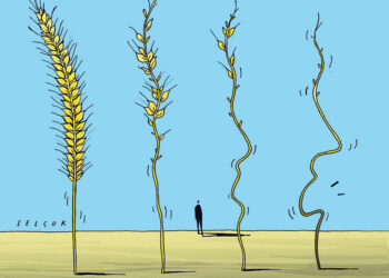 Tempête sur le marché du blé