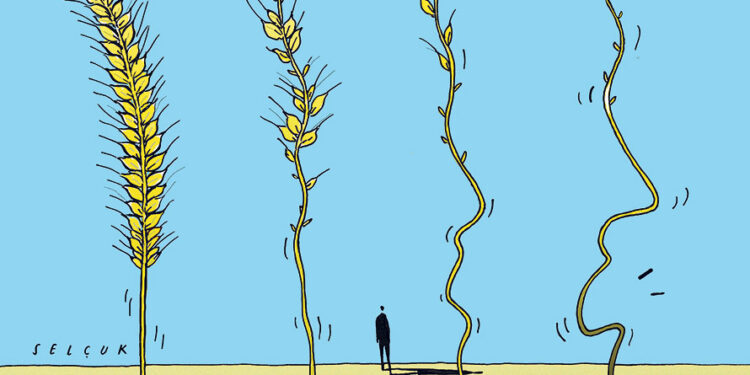 Tempête sur le marché du blé 1 - Le Progrès Egyptien