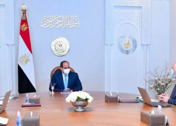 Al-Sissi examine le système des exportations des produits agricoles