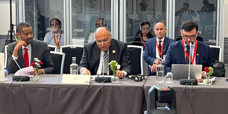 Choucri s'entretient avec de hauts responsables onusiens 1 - Le Progrès Egyptien