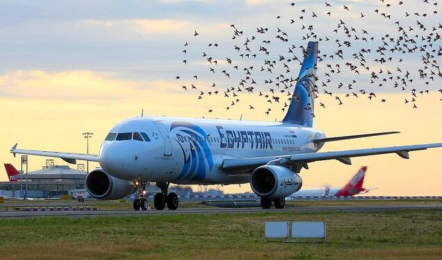 Timbre commémoratif pour les 90 ans d’EgyptAir 1 - Le Progrès Egyptien