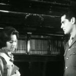 Des films riches en romantisme et en émotions … 9 - Le Progrès Egyptien