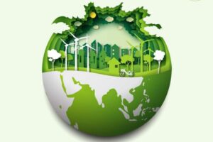 Journée de l’Environnement : Un oasis vert en plein désert 4 - Le Progrès Egyptien Journée de l’Environnement : Un oasis vert en plein désert 3 - Le Progrès Egyptien