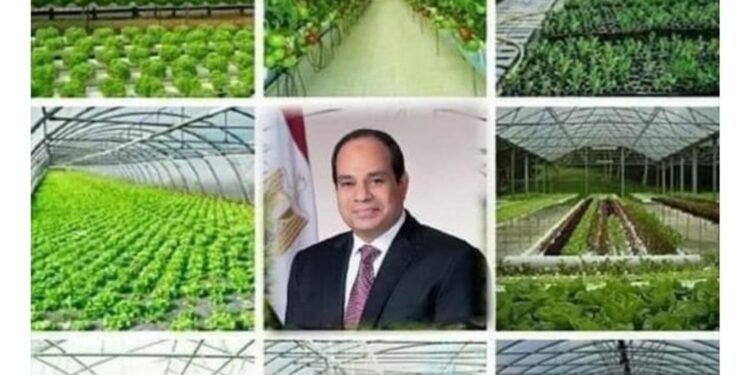 “#Investir_en_Egypte”, un hashtag qui enflamme la toile 1 - Le Progrès Egyptien