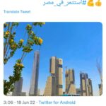 “#Investir_en_Egypte”, un hashtag qui enflamme la toile 25 - Le Progrès Egyptien