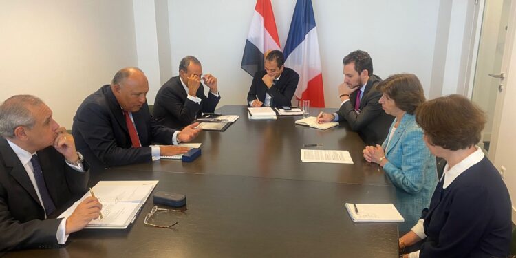 Choucri exprime son aspiration à poursuivre le travail étroit entre l'Egypte et la France 2 - Le Progrès Egyptien Choucri exprime son aspiration à poursuivre le travail étroit entre l'Egypte et la France 1 - Le Progrès Egyptien