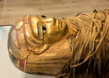 La momie de l’aéroport du Caire !