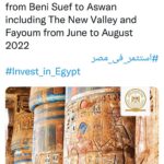 “#Investir_en_Egypte”, un hashtag qui enflamme la toile 15 - Le Progrès Egyptien