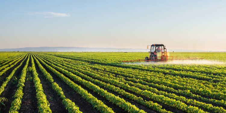 Agriculture : Booster la participation du secteur 2 - Le Progrès Egyptien Agriculture : Booster la participation du secteur 1 - Le Progrès Egyptien