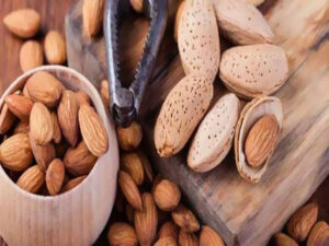 Parole à la provinciale (6) 3 - Le Progrès Egyptien