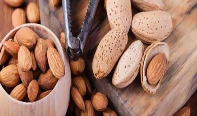 Parole à la provinciale (6) 1 - Le Progrès Egyptien