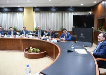 Petronas tient à accroître ses investissements en Egypte