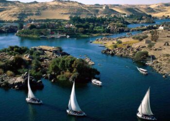 Le Forum d’Assouan pour la paix et le développement le 21 juin