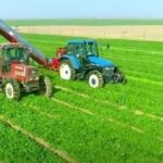 Des pas sûrs vers l’autosuffisance agricole 3 - Le Progrès Egyptien