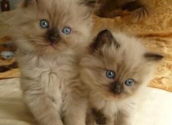 Pour ne pas se sentir esquinté …