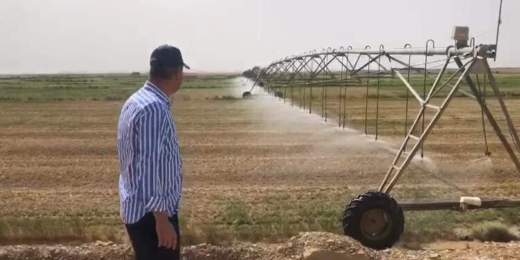 Soutien sans précédent au secteur agricole 1 - Le Progrès Egyptien