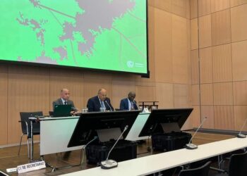 Choucri préside une réunion de la délégation égyptienne participant aux réunions des deux organes de négociation de la CCNUCC