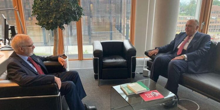 Choucri confirme la priorité conjointe accordée par l'Egypte et la BEI aux projets énergétiques 1 - Le Progrès Egyptien