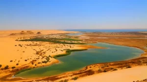Fayoum, une oasis paradisiaque sur terre ! 61 - Le Progrès Egyptien