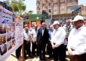 Madbouli inspecte des projets dans le cadre de l’initiative présidentielle “Une vie décente” (Photos)
