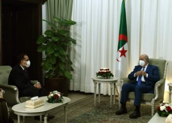 Le Président algérien reçoit Madbouli