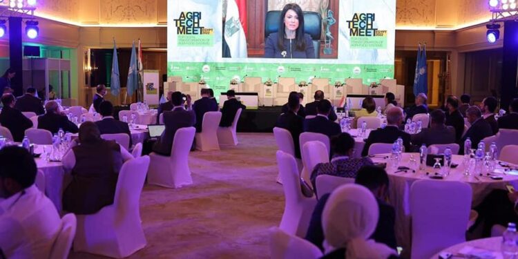 La transformation numérique, nécessaire pour le développement durable 1 - Le Progrès Egyptien