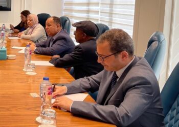 COP27: L’Egypte tient à coordonner la position africaine