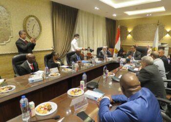 Renforcer la coopération douanière avec les Africains