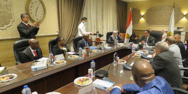 Renforcer la coopération douanière avec les Africains 1 - Le Progrès Egyptien