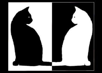 Quand la goutte d’eau fait déborder le vase …