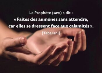 La solidarité, un pilier  fondamental de l’Islam