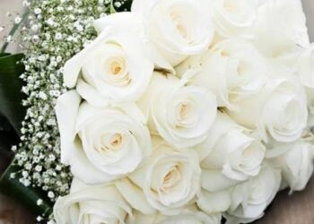 Restez zen en période d’examen