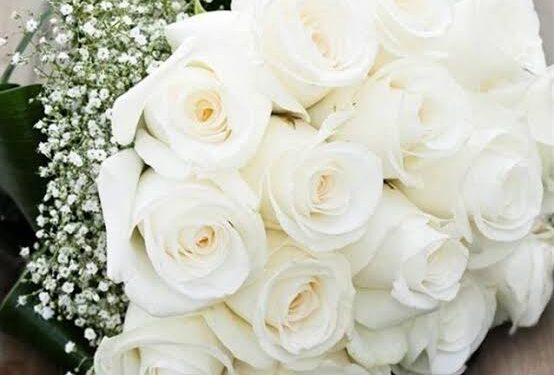 Restez zen en période d’examen 2 - Le Progrès Egyptien Restez zen en période d’examen 1 - Le Progrès Egyptien