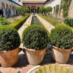 Le palais d’Al-Hamraa... chef-d’œuvre de l’Andalousie 4 - Le Progrès Egyptien Le palais d’Al-Hamraa... chef-d’œuvre de l’Andalousie 3 - Le Progrès Egyptien