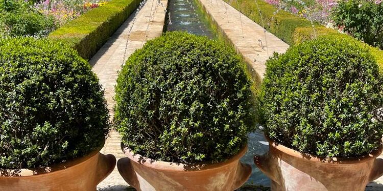 Le palais d’Al-Hamraa... chef-d’œuvre de l’Andalousie 2 - Le Progrès Egyptien Le palais d’Al-Hamraa... chef-d’œuvre de l’Andalousie 1 - Le Progrès Egyptien