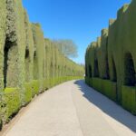 Le palais d’Al-Hamraa... chef-d’œuvre de l’Andalousie 12 - Le Progrès Egyptien Le palais d’Al-Hamraa... chef-d’œuvre de l’Andalousie 11 - Le Progrès Egyptien