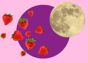 Ils se sentent à l’aise en pleine lune des fraises