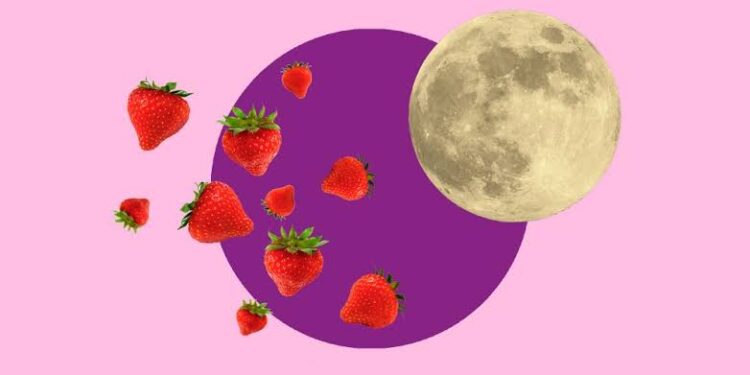 Ils se sentent à l’aise en pleine lune des fraises 2 - Le Progrès Egyptien Ils se sentent à l’aise en pleine lune des fraises 1 - Le Progrès Egyptien