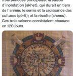 Les internautes parlent égyptien 11 - Le Progrès Egyptien