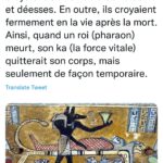 Les internautes parlent égyptien 3 - Le Progrès Egyptien