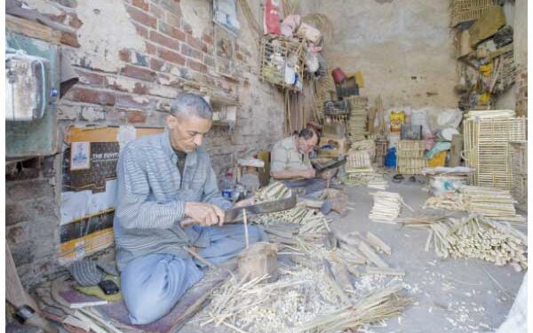 Les feuilles des palmiers, comme une pâte dans les mains des “qaffassins” 2 - Le Progrès Egyptien Les feuilles des palmiers, comme une pâte dans les mains des “qaffassins” 1 - Le Progrès Egyptien