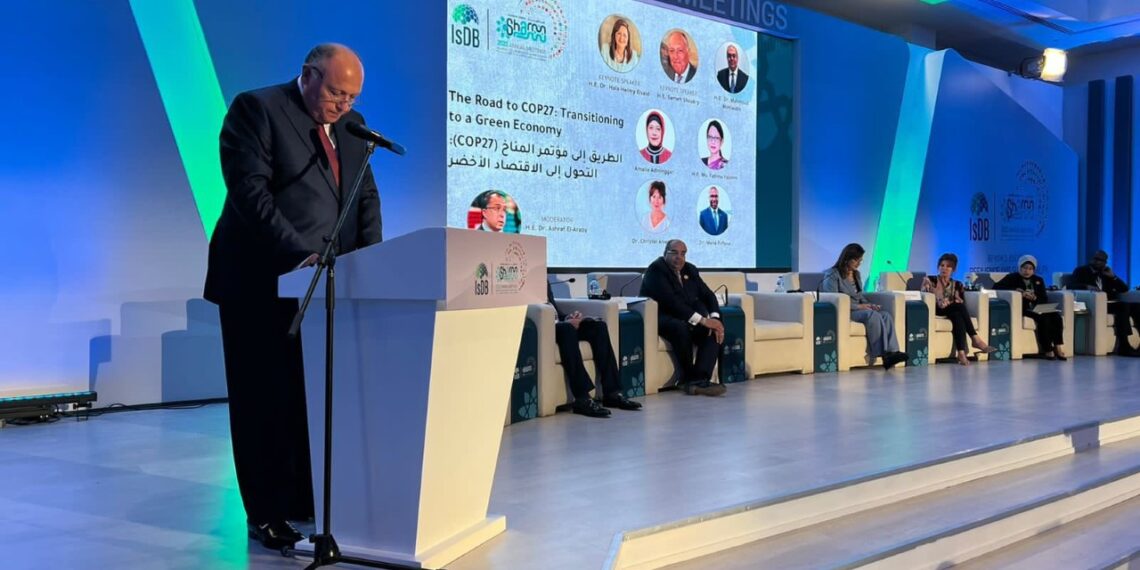 Choucri: Mise en œuvre effective de l'Accord de Paris 1 - Le Progrès Egyptien