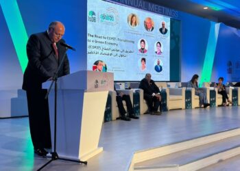 Choucri: Mise en œuvre effective de l’Accord de Paris