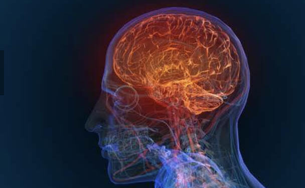 La température du cerveau peut dépasser 40 C° ! 1 - Le Progrès Egyptien