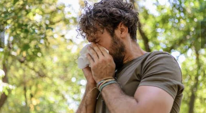 La saison des allergies s’allonge avec des pollens plus agressifs 1 - Le Progrès Egyptien