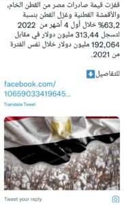 Les #projets_égyptiens illuminent le ciel des réseaux sociaux 3 - Le Progrès Egyptien