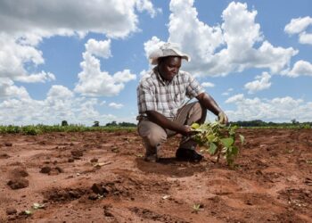 Le changement climatique a un impact sur la paix en Afrique