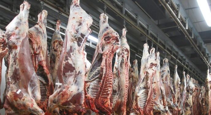 Les abattoirs prêts pour les offrandes pendant l'Aïd Al-Adha 1 - Le Progrès Egyptien