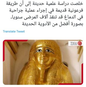 Les #projets_égyptiens illuminent le ciel des réseaux sociaux 5 - Le Progrès Egyptien